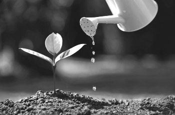 Greenville tax planning services